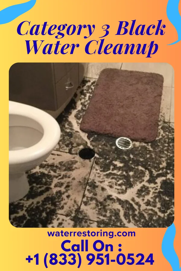 Category 3 Black Water Cleanup in Melbourne, KY