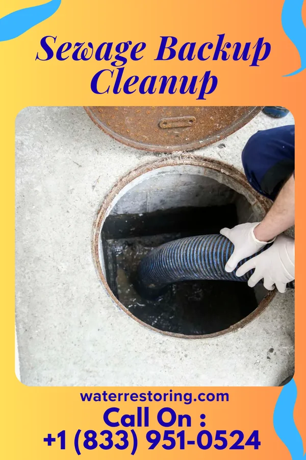 Sewage Backup Cleanup in Melbourne, KY